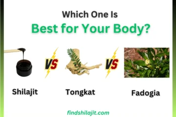 Shilajit vs Tongkat Ali vs Fadogia
