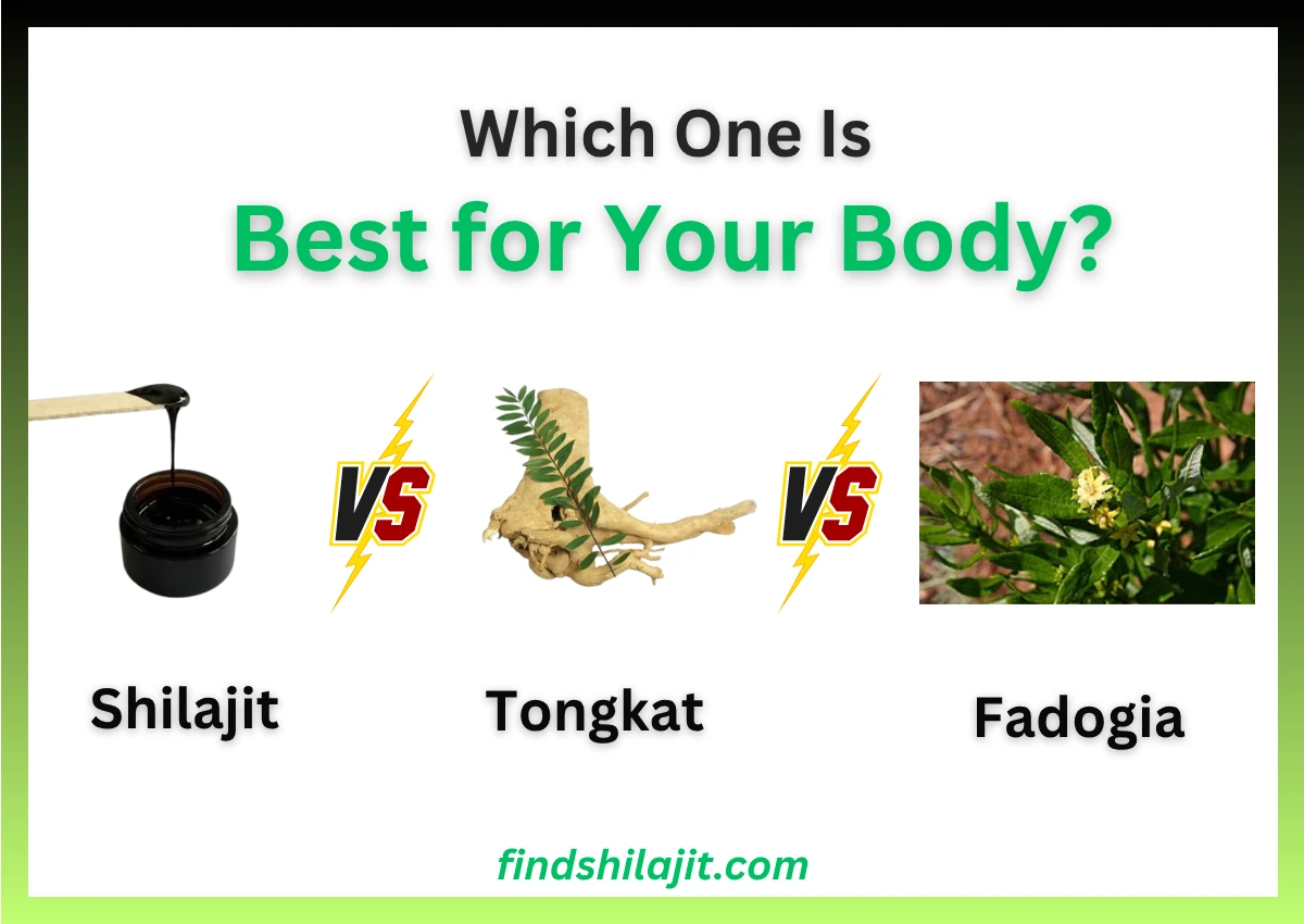 Shilajit vs Tongkat Ali vs Fadogia