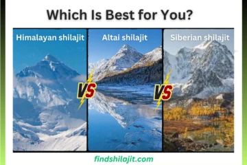 Siberian shilajit vs. Himalayan shilajit vs. Altai shilajit