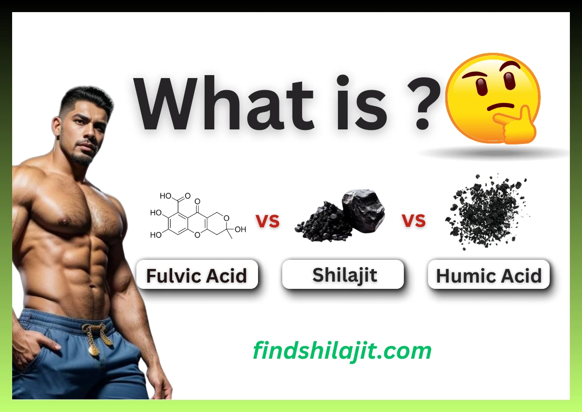 Fulvic Acid vs Shilajit vs Humic Acid