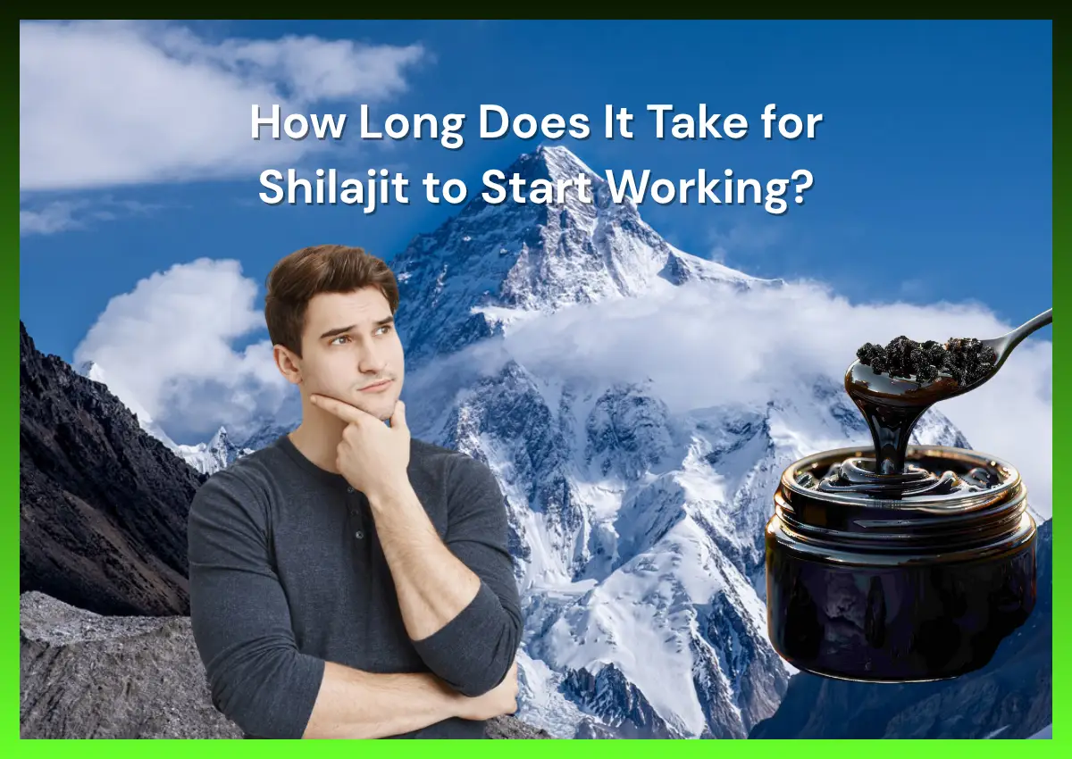 How Long Does It Take for Shilajit to Start Working