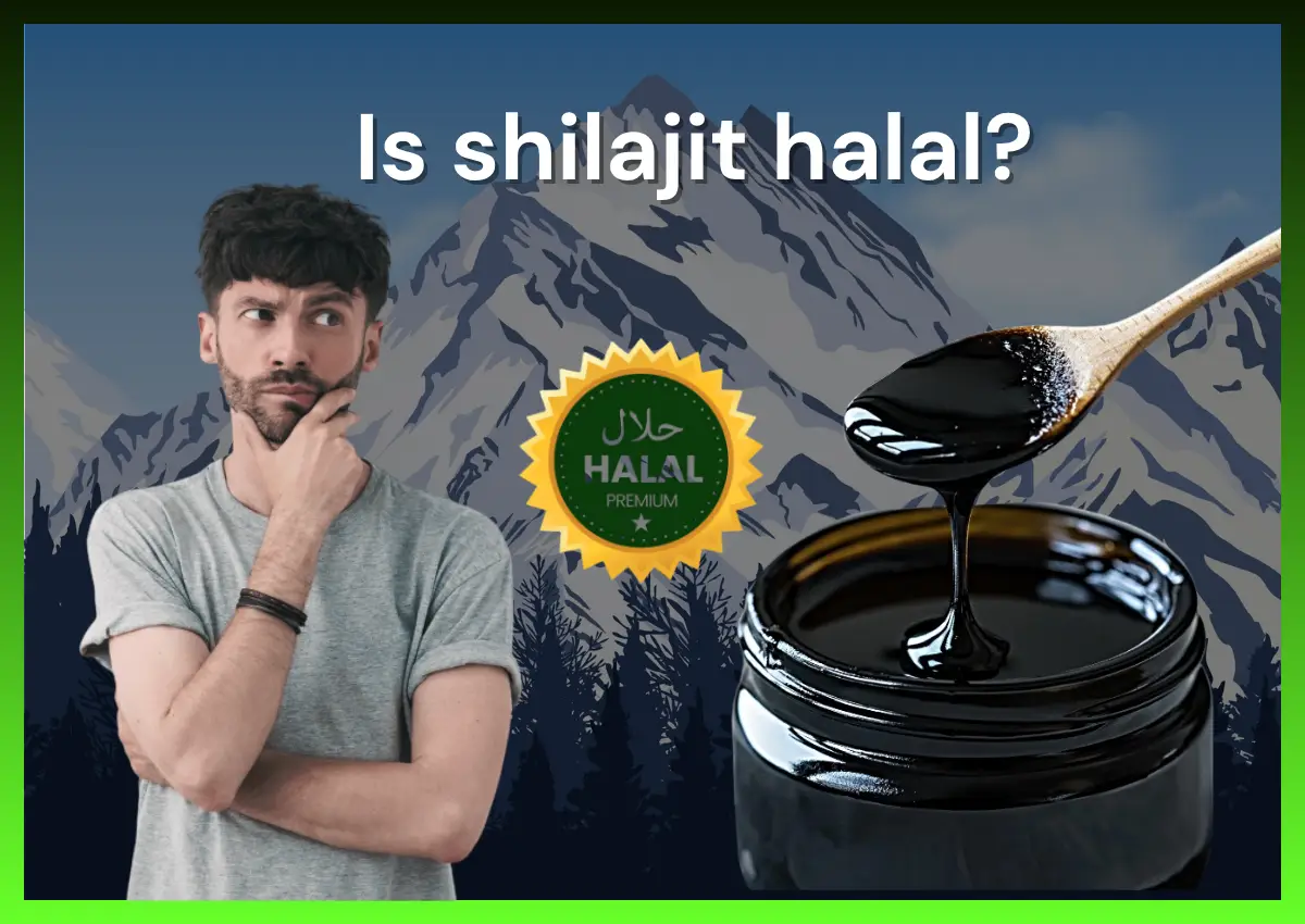 Is Shilajit Halal? Everything Explained