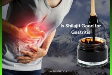 Is shilajit good for gastritis
