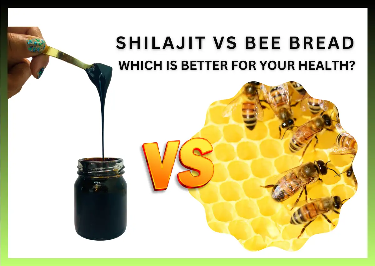 Shilajit vs Bee Bread