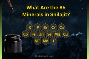What Are the 85 Minerals in Shilajit