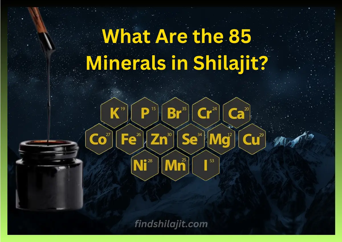 What Are the 85 Minerals in Shilajit