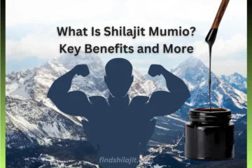 What Is Shilajit Mumio_ Key Benefits and More