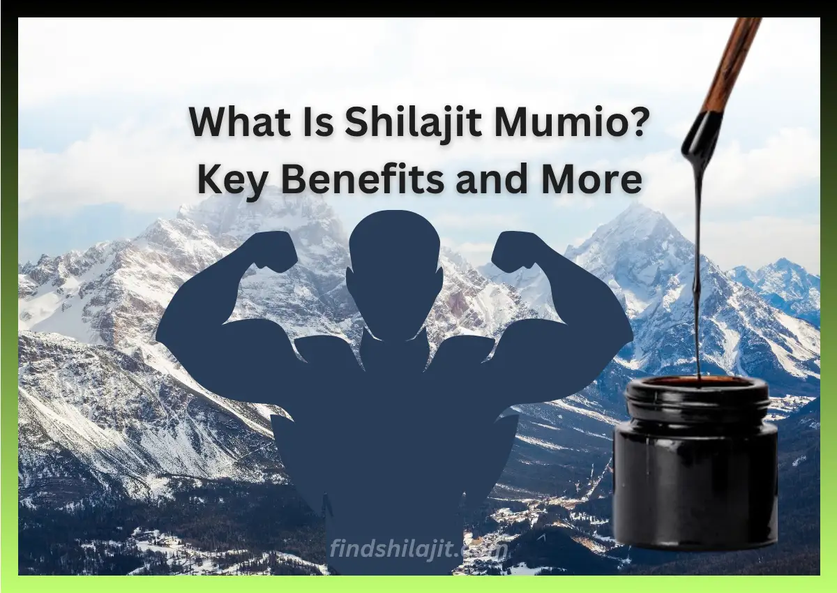 What Is Shilajit Mumio_ Key Benefits and More