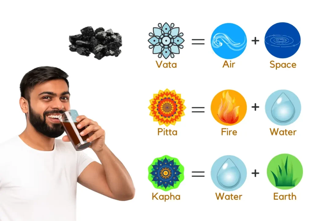 shilajit tri dosha vata pitta kapha