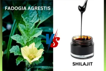 Fadogia Agrestis vs Shilajit