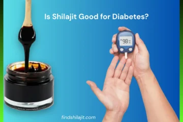 Is shilajit good for diabetes