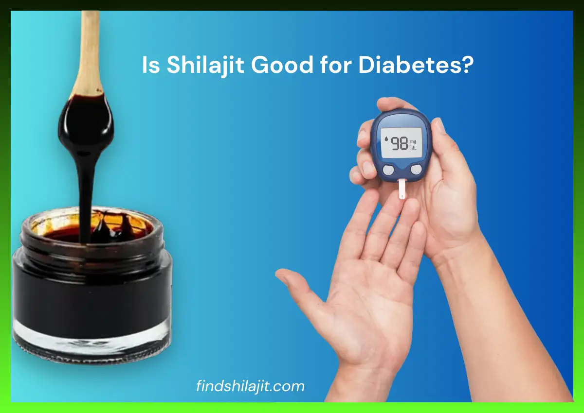 Is shilajit good for diabetes