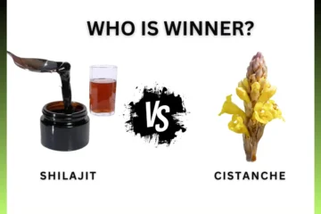 Shilajit vs Cistanche