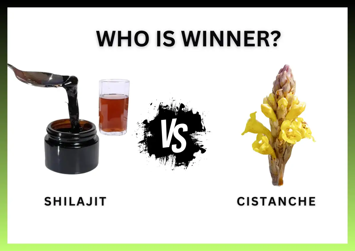Shilajit vs Cistanche