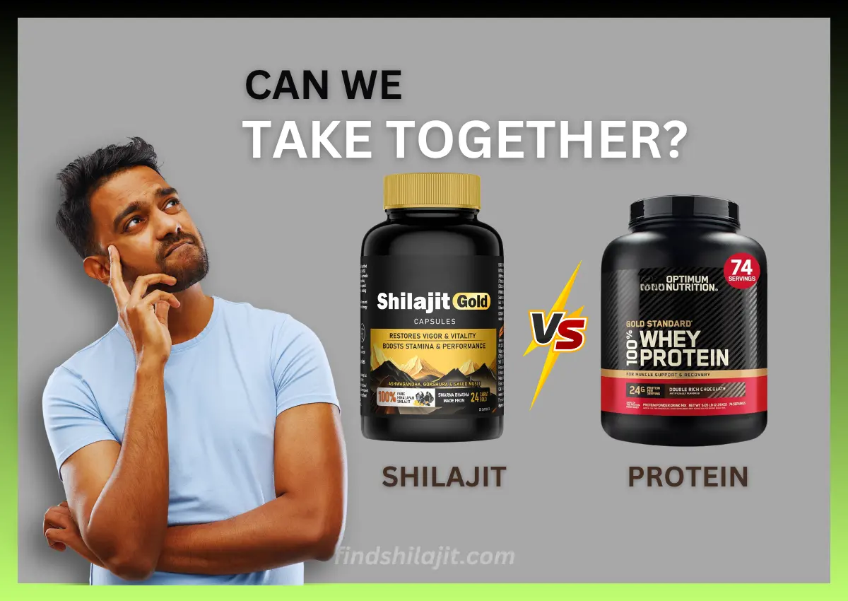 shilajit vs protein