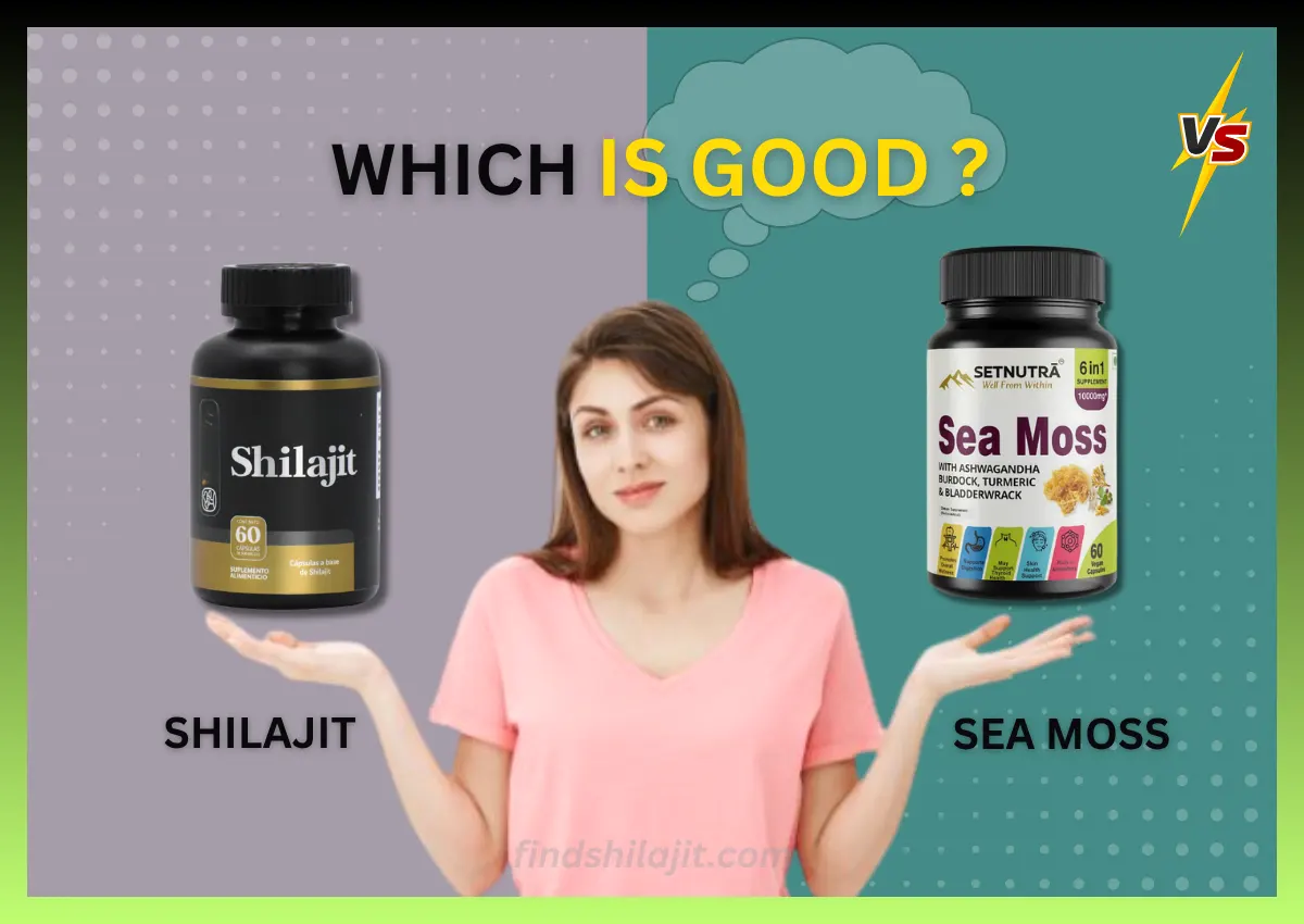 shilajit vs sea moss