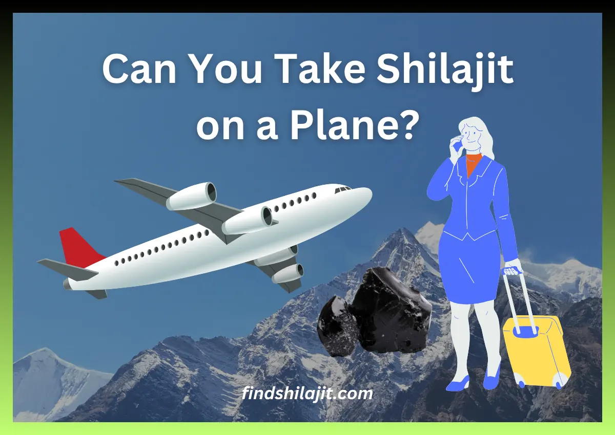 Can You Take Shilajit on a Plane