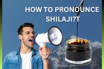 How to Pronounce Shilajit