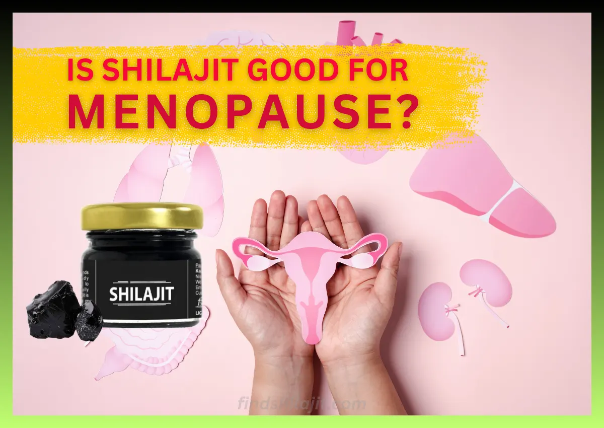 Is Shilajit Good For Menopause