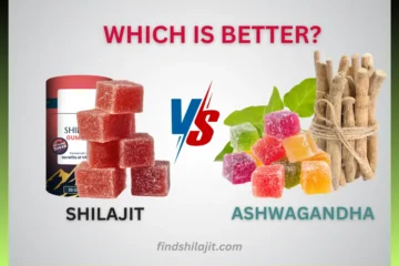 Shilajit vs Ashwagandha Gummies Which Is Better