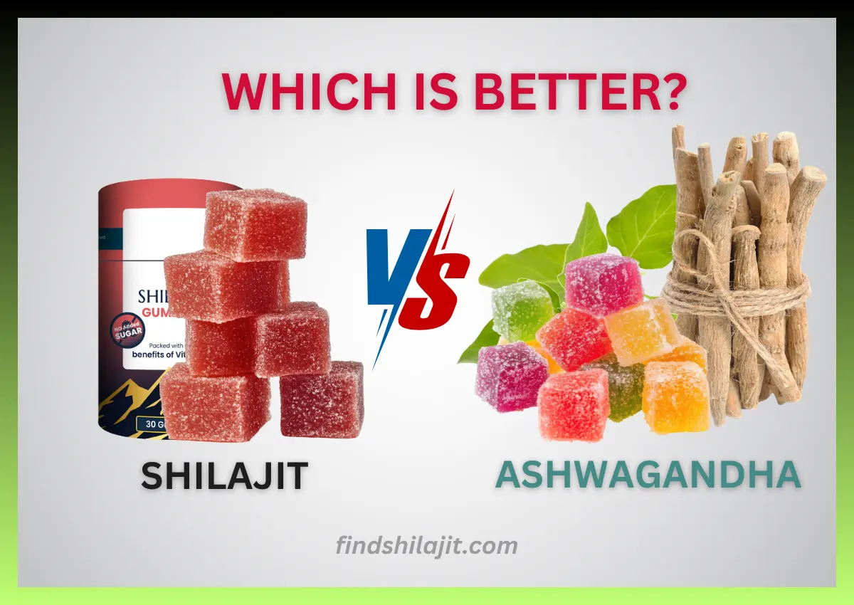 Shilajit vs Ashwagandha Gummies Which Is Better