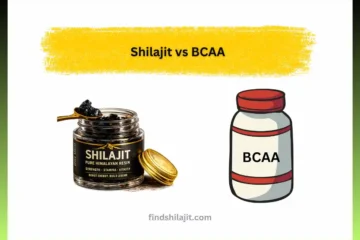 Shilajit vs BCAA