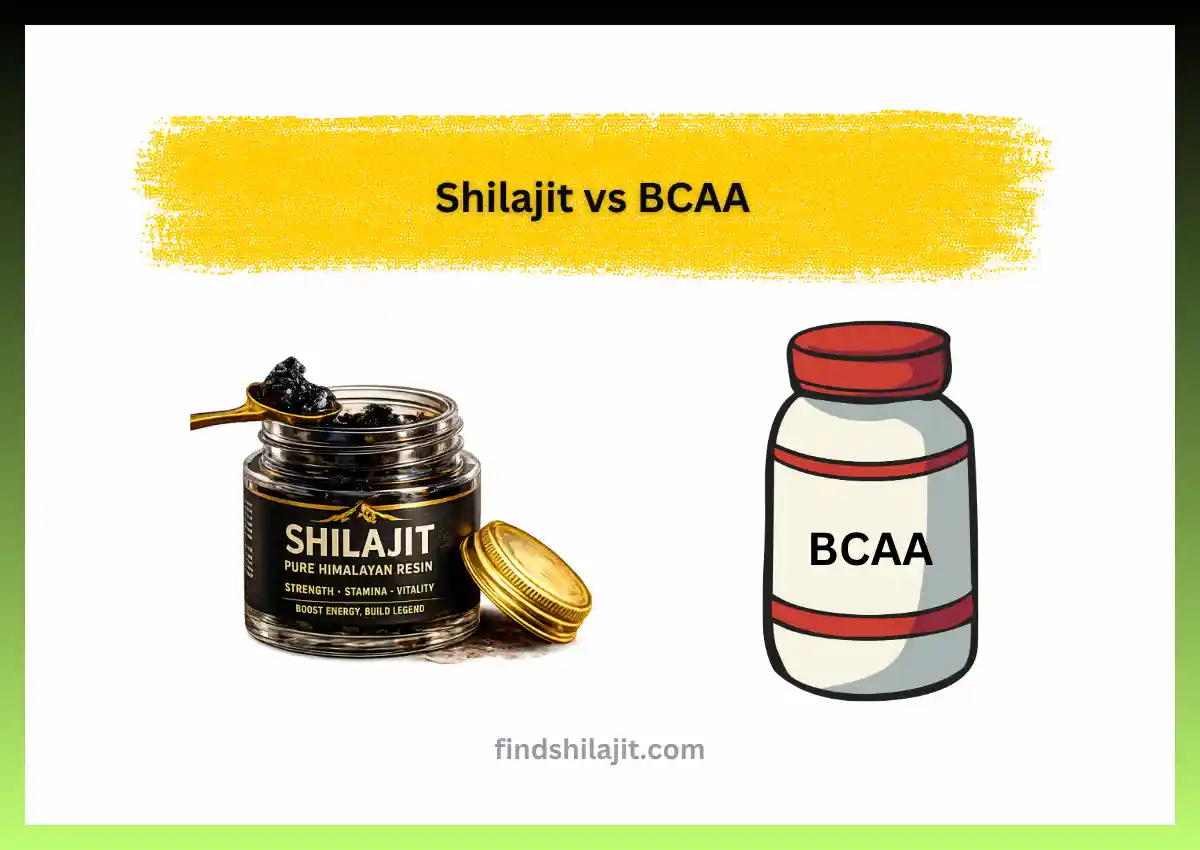Shilajit vs BCAA