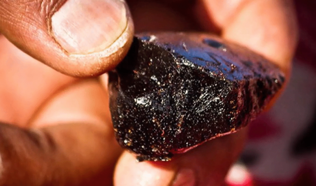 shilajit stone image man holding close up