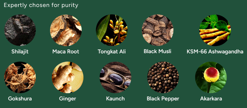 Shilajit Gummies with Other Ingredients