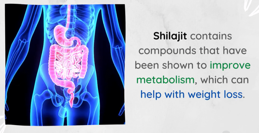 how shilajit gummiies help in weight loss