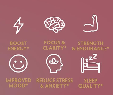 Shilajit and Ashwagandha Gummies Benefits