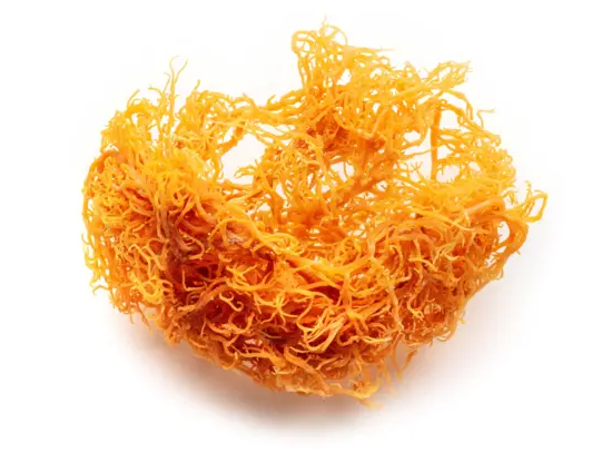 original sea moss image