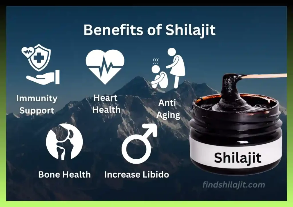 shilajit benefits