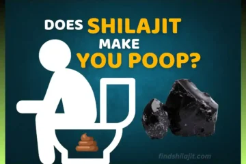 Does Shilajit Make You Poop