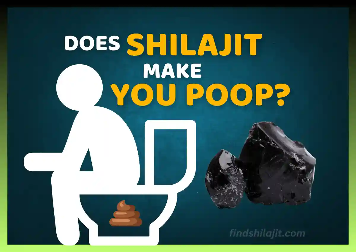 Does Shilajit Make You Poop