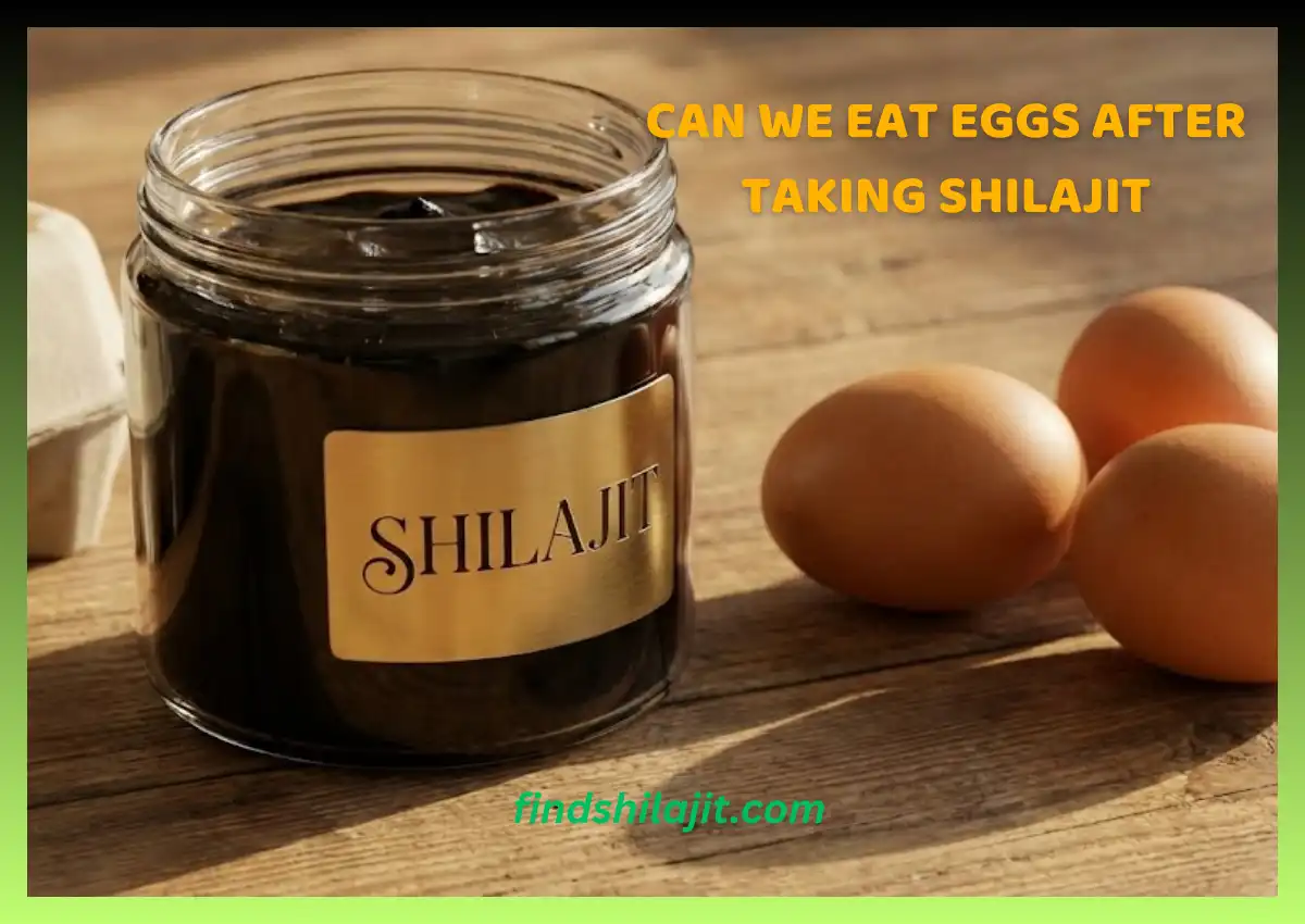 Can We Eat Eggs After Taking Shilajit