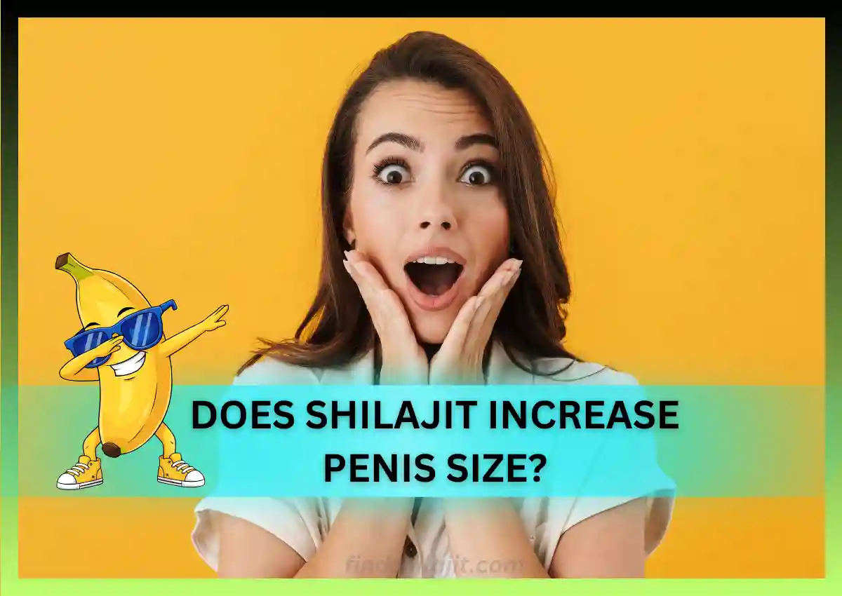 Does Shilajit Increase Penis Size