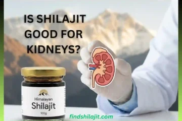 Is Shilajit Good for Kidneys
