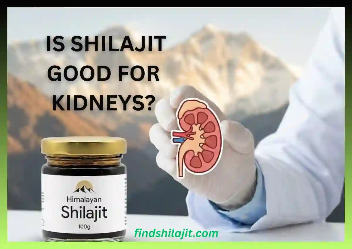 Is Shilajit Good for Kidneys