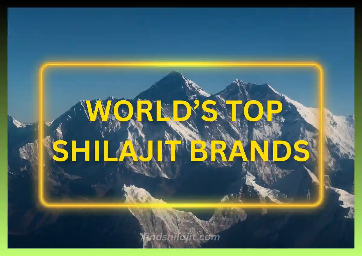 Top High Potency Shilajit Brands