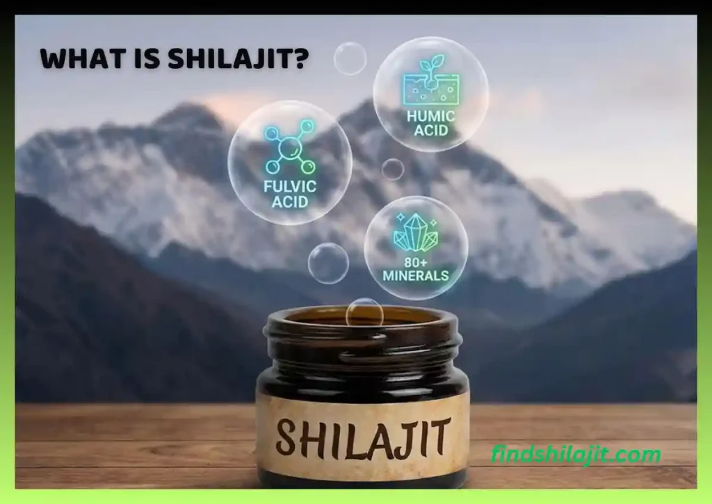 what is shilajit