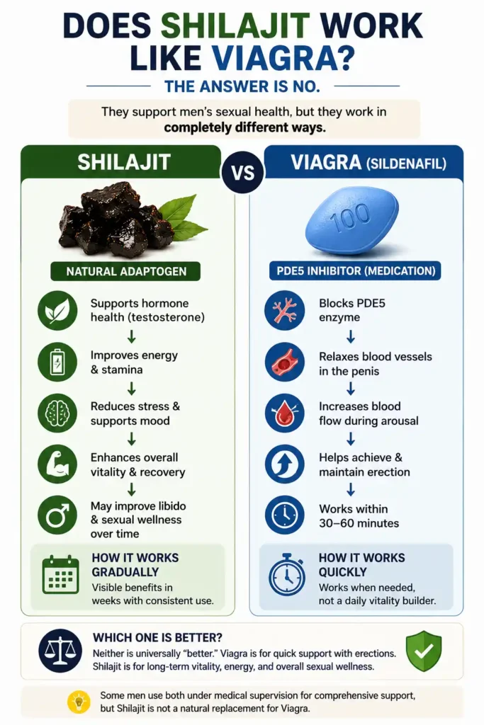 Does Shilajit Work Like Viagra
