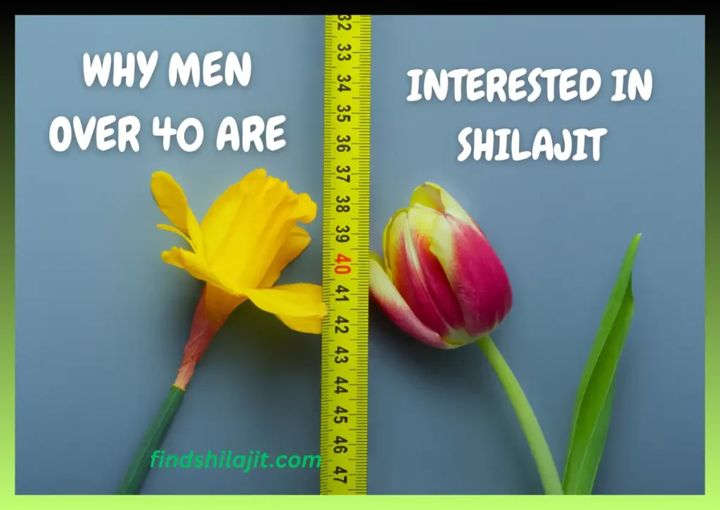Is Shilajit Honey Sticks Good for Men Over 40