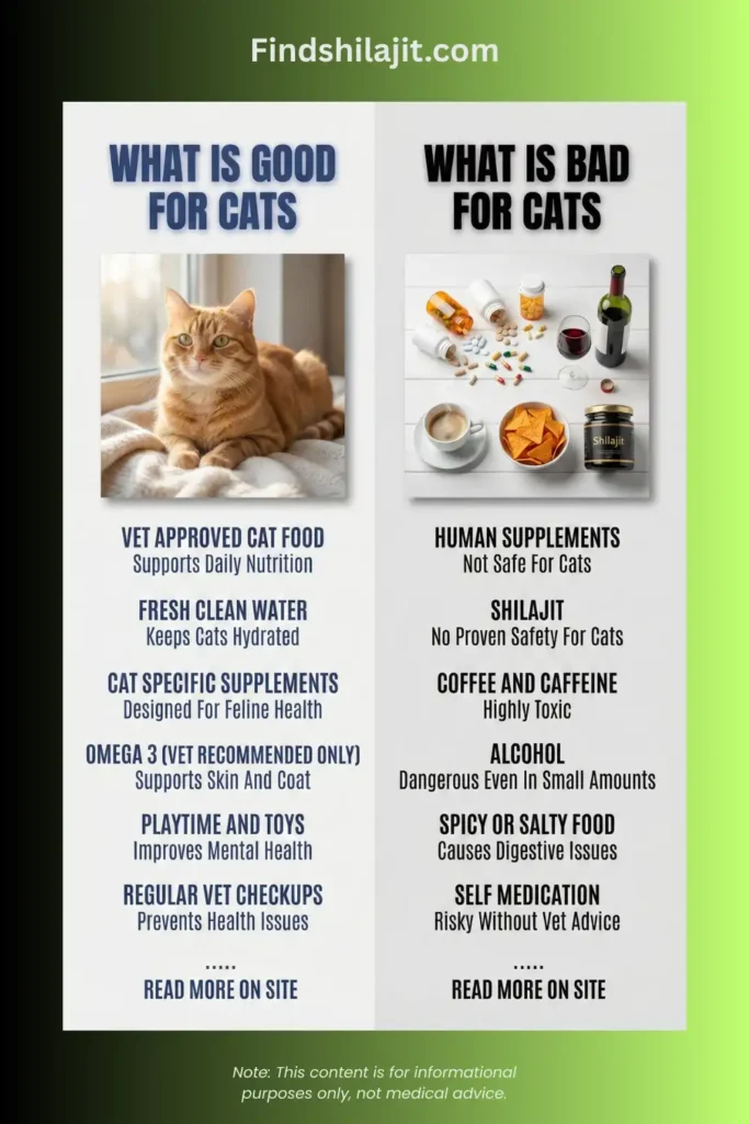 Is Shilajit Suitable for Cats