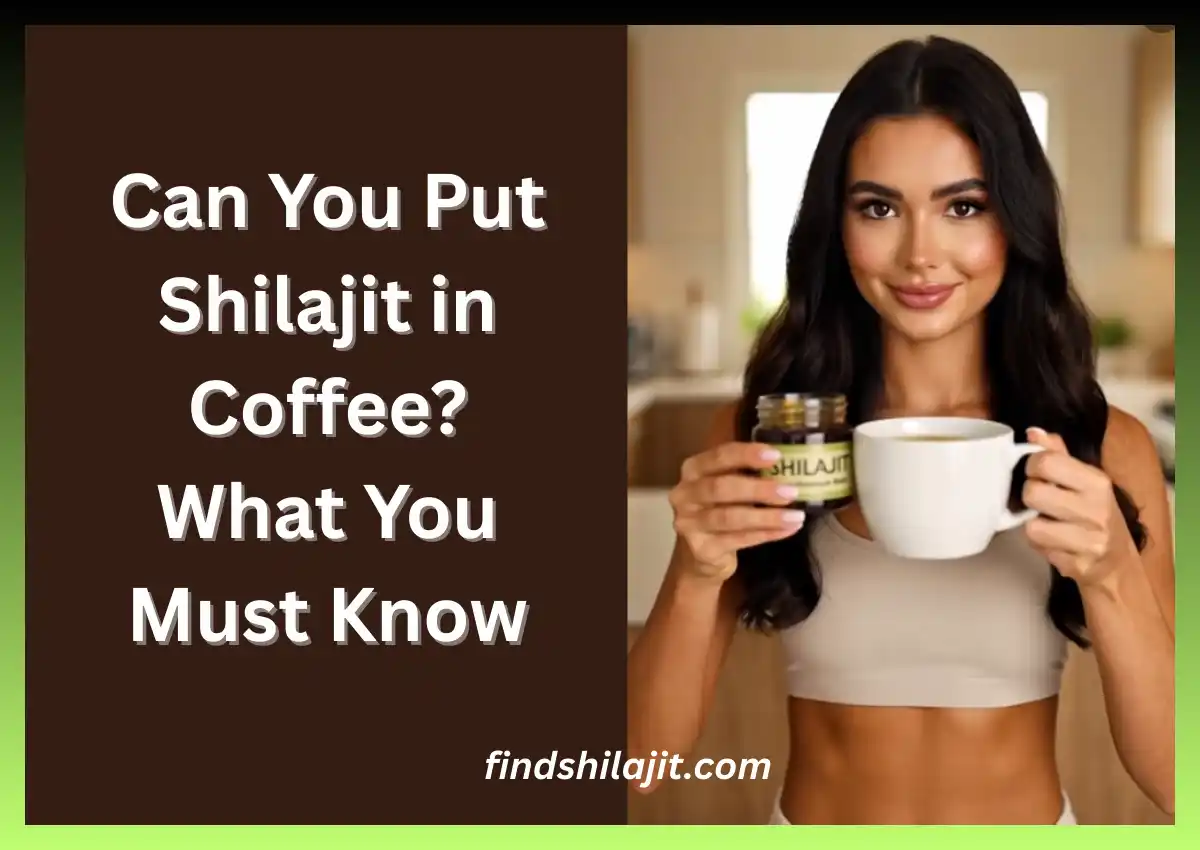 Can You Put Shilajit in Coffee