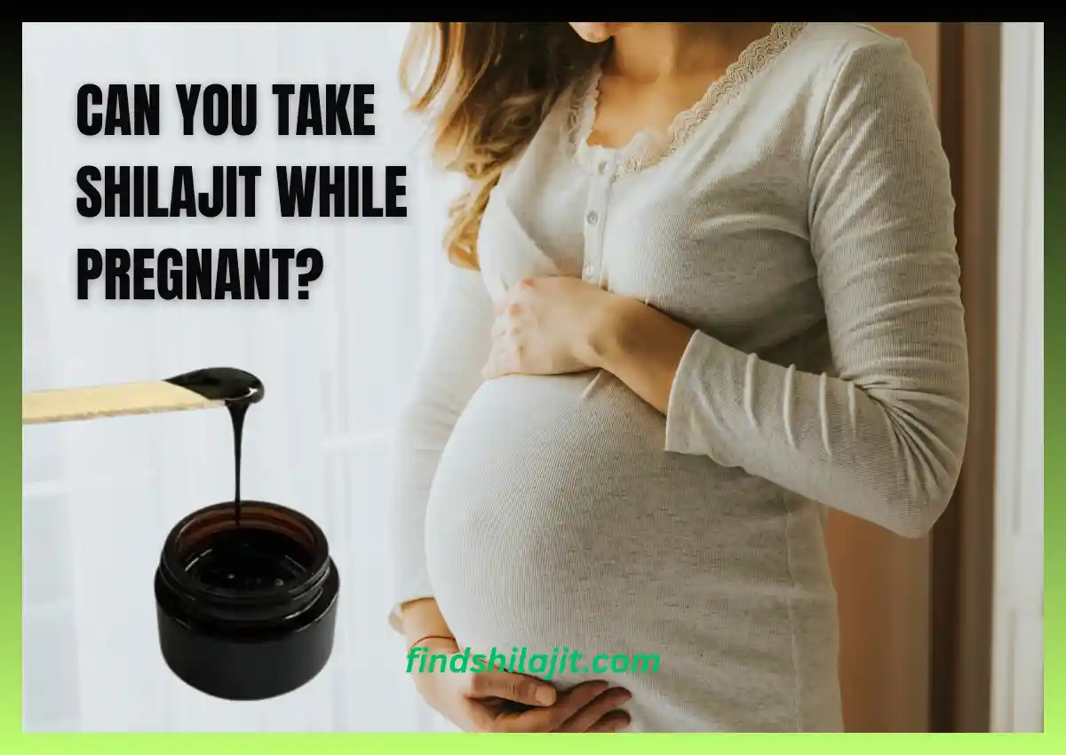 Can You Take Shilajit While Pregnant