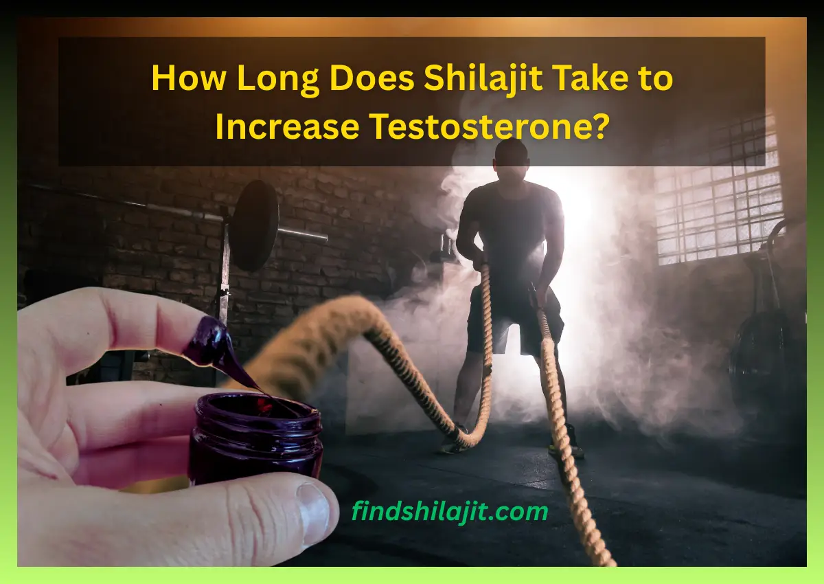How Long Does Shilajit Take to Increase Testosterone