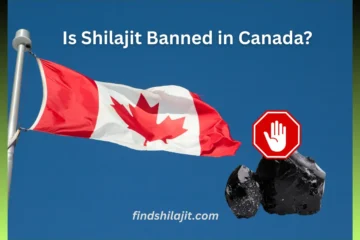 Is Shilajit Banned in Canada