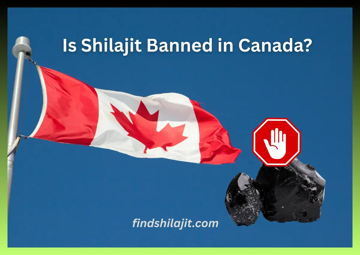 Is Shilajit Banned in Canada
