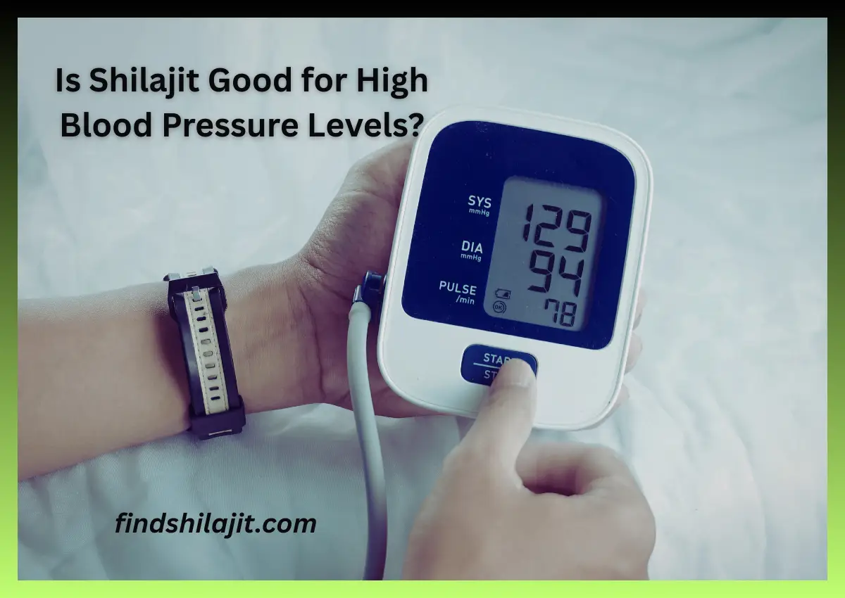 Is Shilajit Good for High Blood Pressure Levels